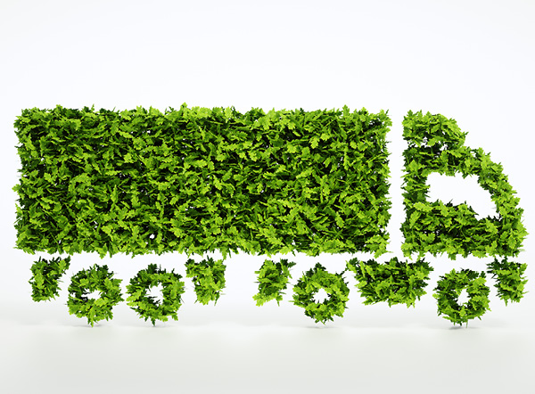 Vrachtwagen van bladeren