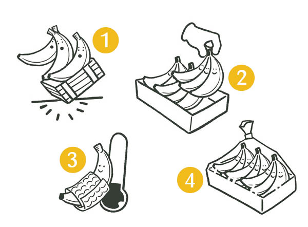 Icoontjes met uitleg over hoe je bananen beter kunt bewaren