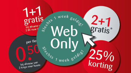 Web Only logo met kortingsbollen